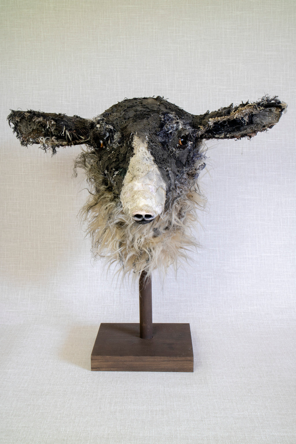 Curly Dorper-Cross  Sheep Sculpture