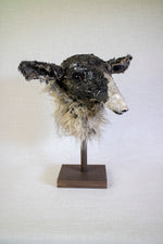 Curly Dorper-Cross  Sheep Sculpture
