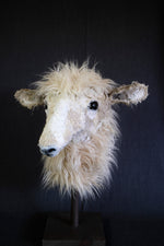 Francis Dorper-Cross  Sheep Sculpture - SOLD