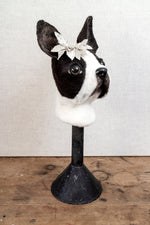 Gracie the Boston Terrier -  Felted Dog Sculpture