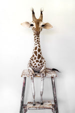 Marjorie -  Felted Giraffe Sculpture - SOLD